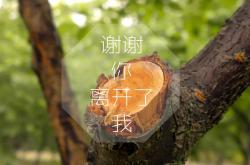 开云体育中国-冰川与枫叶的终局，2026世界杯生死战，瑞士完胜加拿大，姆巴佩致命一击定格永恒