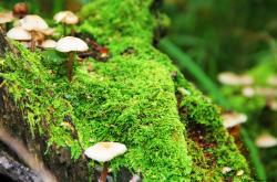 开云体育官网-新王加冕！联合杯铁王座下，戴维斯杯的王权黄昏