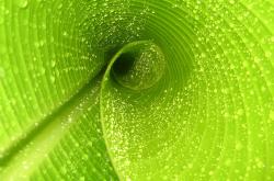 开云体育APP下载-一群不被看好的男人，如何用95%的汗水拆解黄金一代，乌克兰告诉你，足球的终极胜负在灵魂