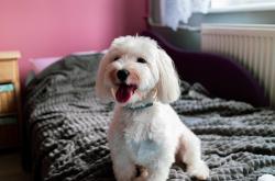 开云体育登录-风暴席卷赛场，日本队轻取瑞典队，梁靖崑状态火热如闪电