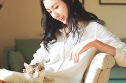 开云体育入口-冰火交响，当樊振东的热焰燃过韩国队冷静的锋芒