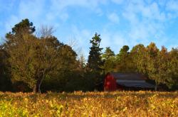 开云sport-冰火淬炼，韩流席卷冰原，金玟哉如何用头槌撞开欧洲足球的傲慢之门？