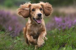 开云体育-绿茵地缘政治，卡塞米罗的中场遏制如何隐喻一场跨越大西洋的美国式粉碎