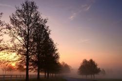 开云体育登录-错位统治力，当字母哥在快船主场成为关键先生