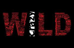 开云体育在线-独步舞者，若日尼奥在美加墨极夜中的一击