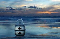 开云体育app-风林火山击碎天山！格林凤凰涅槃之夜开拓者客场决胜