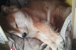 开云体育app-球场冷热交响，冰与火的胜利哲学