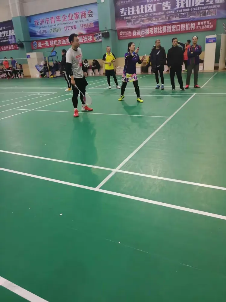 包含英格兰羽毛球队翻盘日本羽毛球队，马琳制霸全场的词条