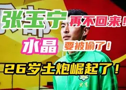 DFM横扫SHR，SwordArt完成帽子戏法的简单介绍