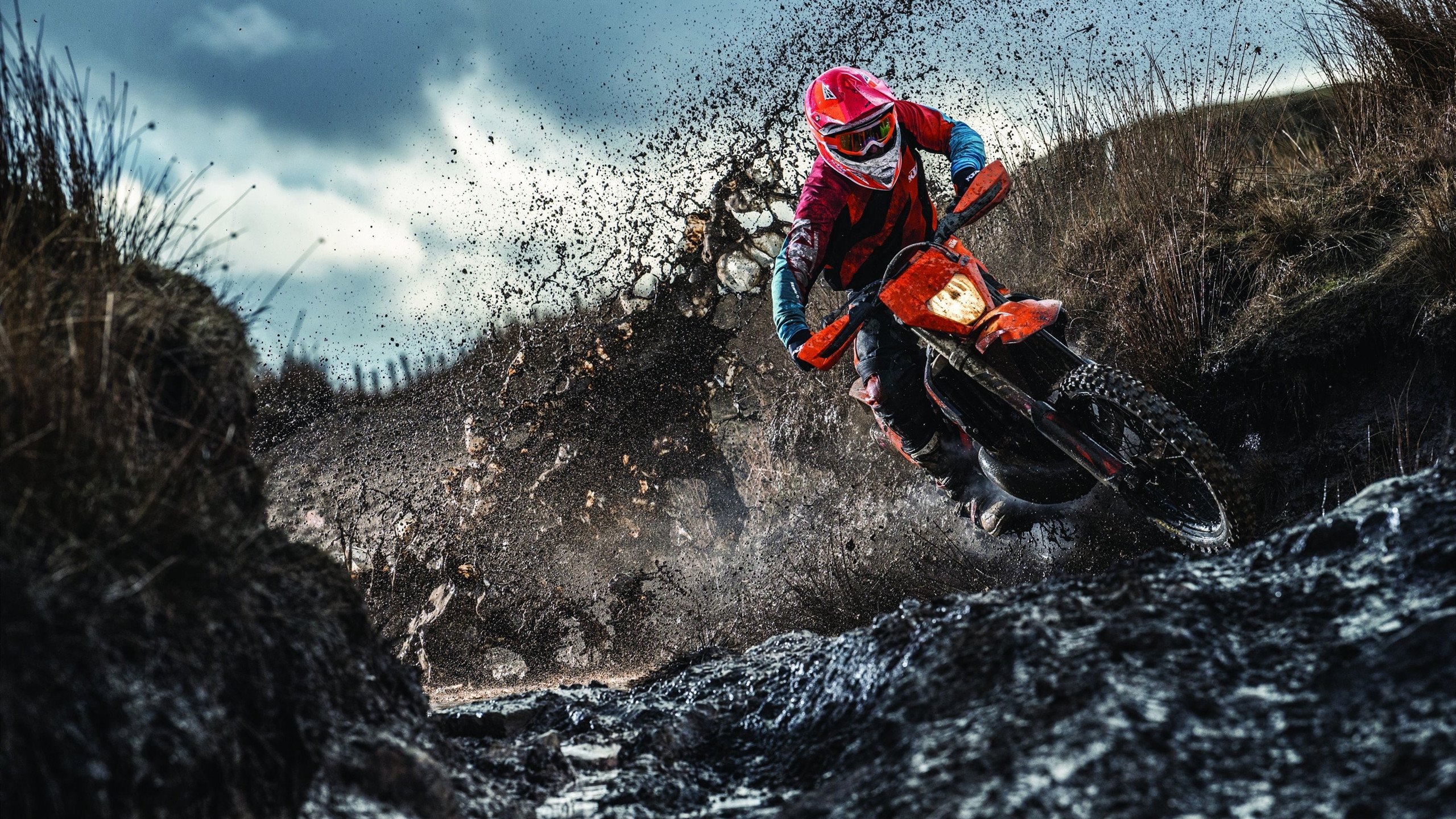 绝境孤星，桃田贤斗的异国涅槃