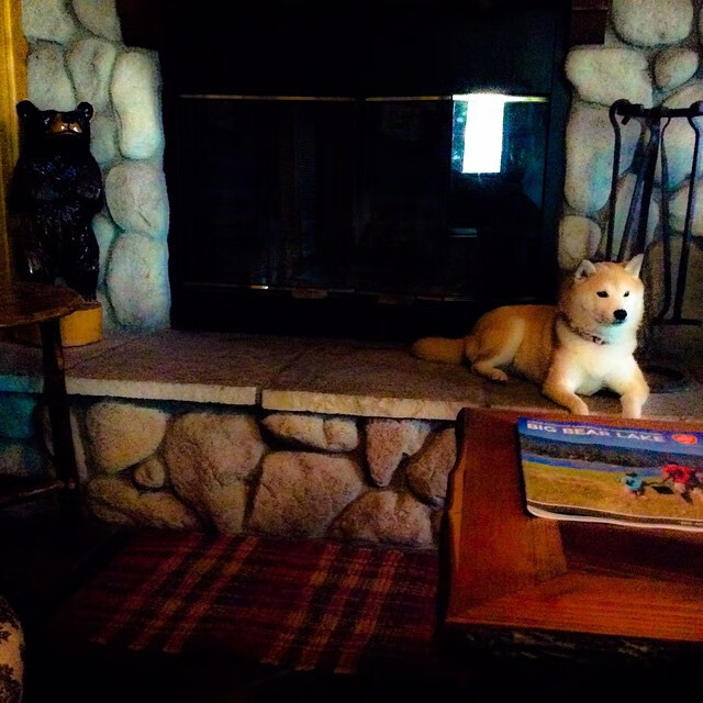 冰与火之歌,易建联率紫金军团跨地域征服战