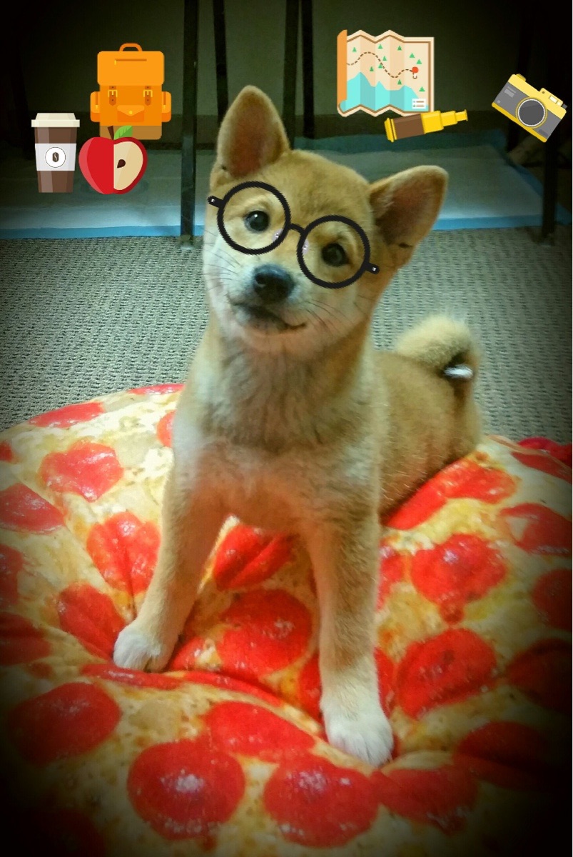 钢铁洪流，孤星狂飙！深圳碾压四川，莫兰特用59分点燃五棵松