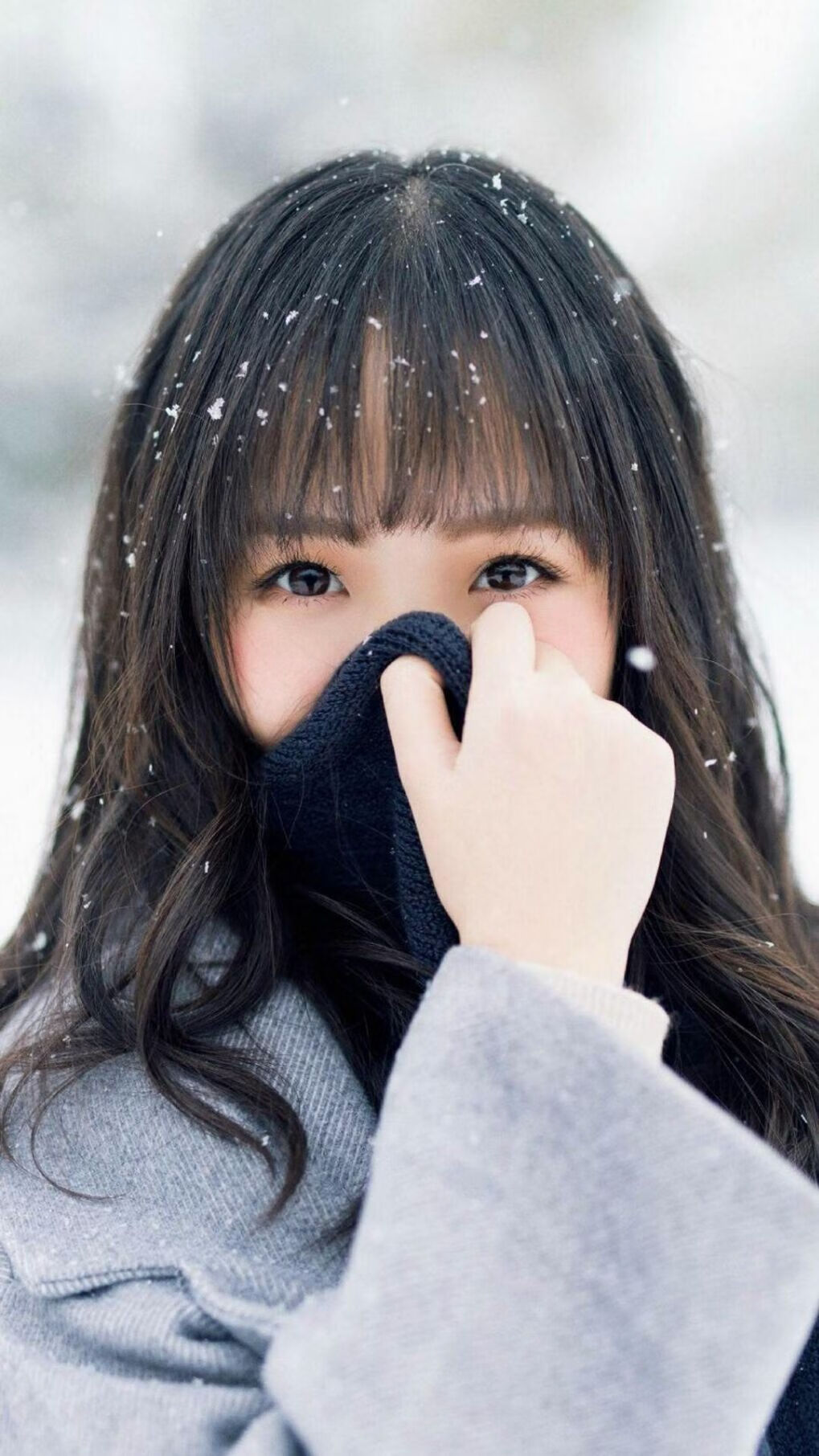 死地炮火连天,赵继伟一息活局,辽宁悬崖边的战术革命与人性涅槃