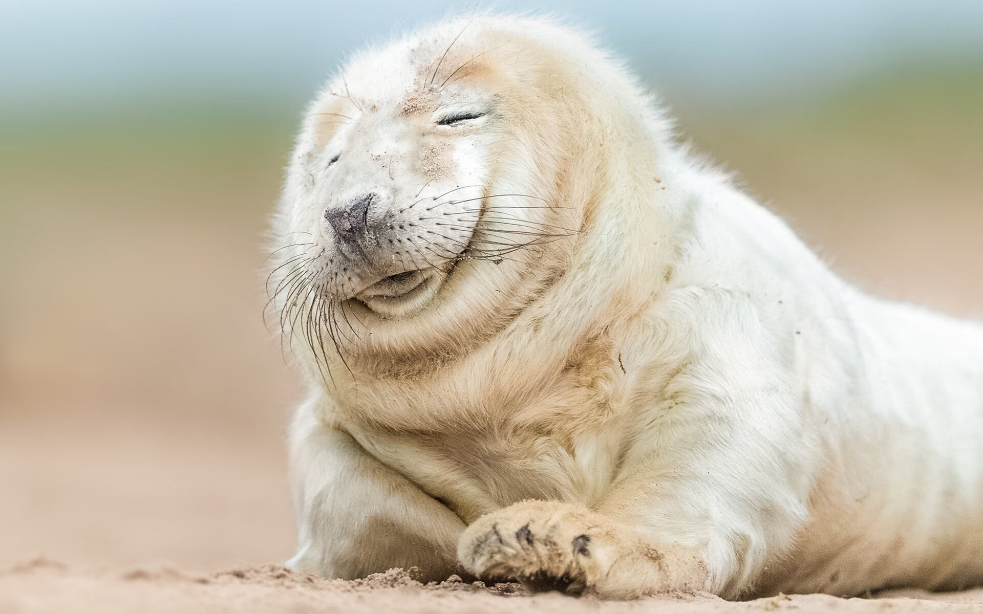 友谊赛现诡异一幕,哈兰德附体曼联小将,红魔轻取墨西哥豪门