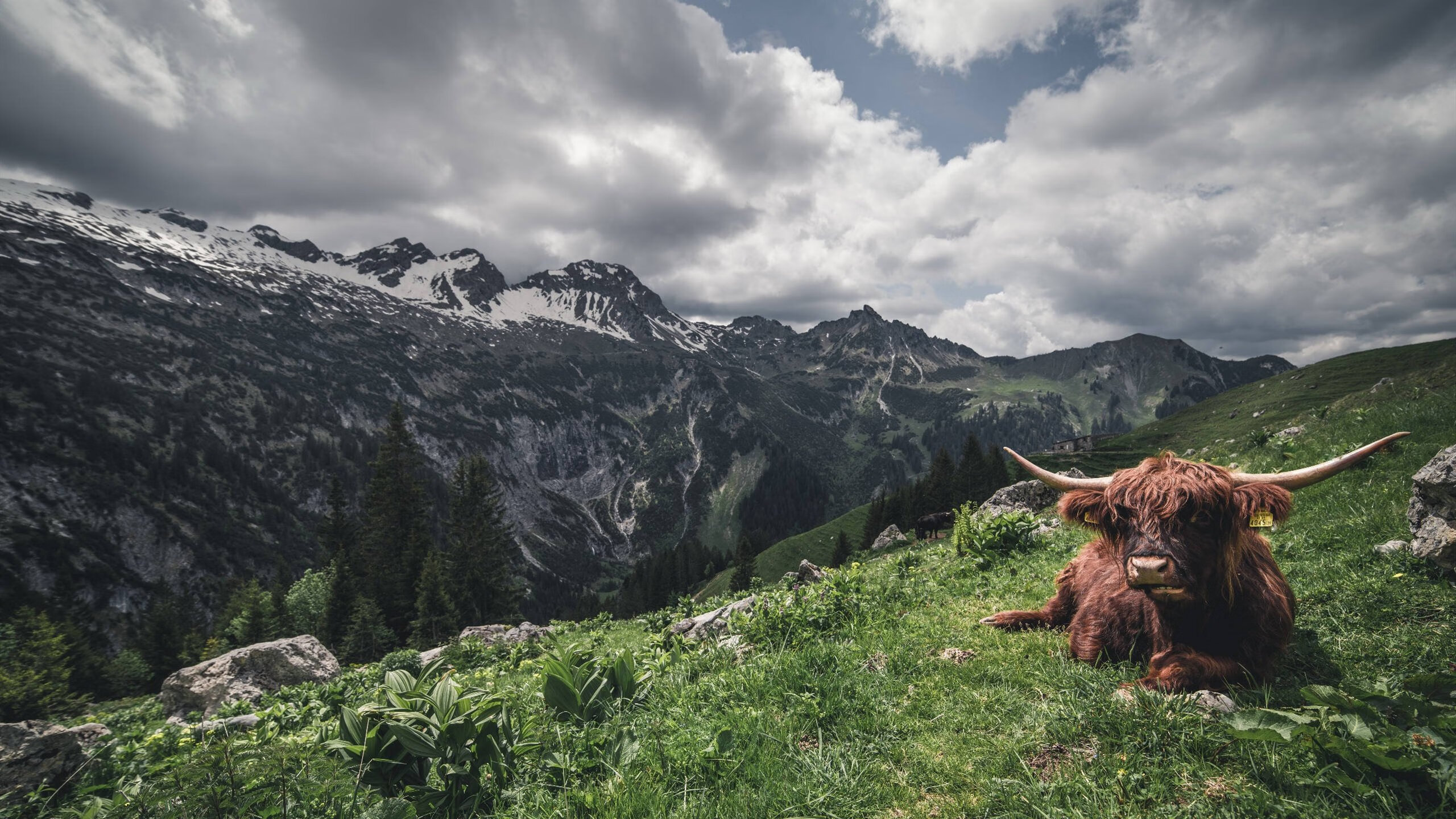 唯一性统治，迪巴拉在皇家社会对阵摩洛哥的攻防艺术