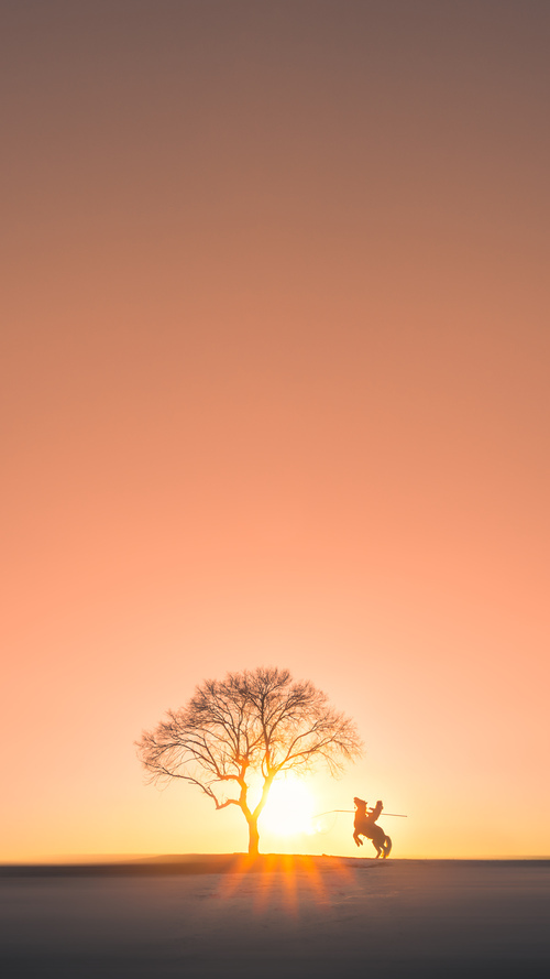 逆转的双重奏，比分与尊严的翻盘