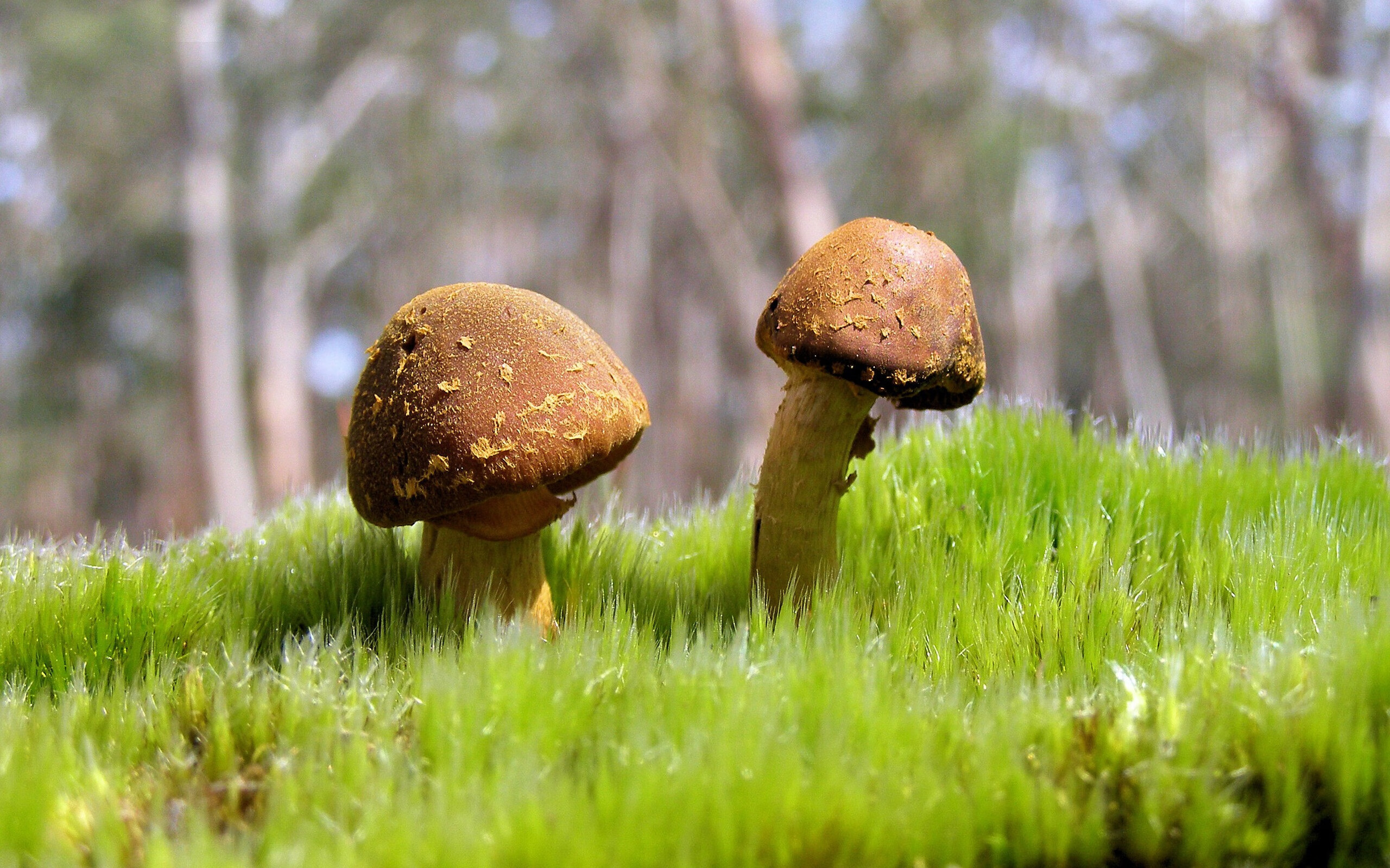 今夜之后,请叫他奥运会的门卫