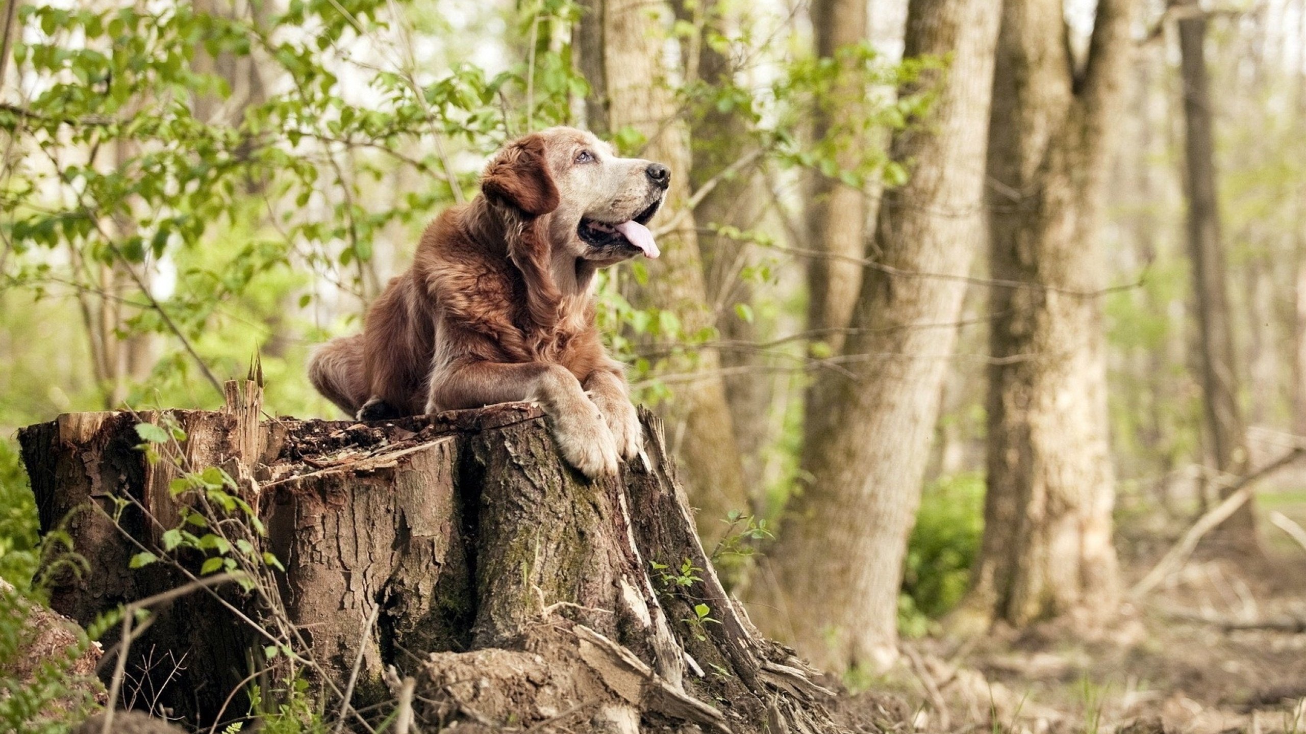 风暴眼中的寂静，勒沃库森新星维尔茨，美加墨世界杯焦点战里唯一未射门的胜利者