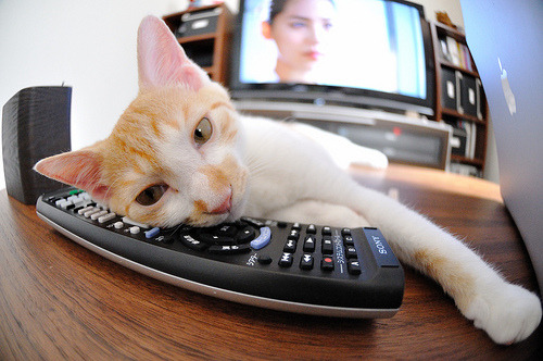 纽约之夜，约基奇以雷霆之势碾压尼克斯防线