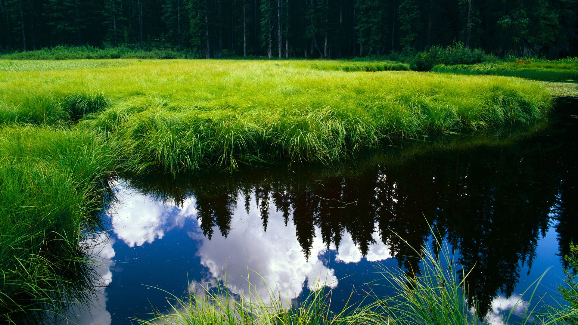 哈利伯顿狂飙30+力挽狂澜,广东队多点开花连续得分高潮逆袭广厦