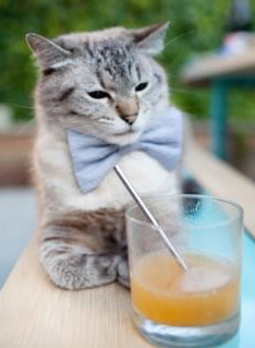 奇迹一吻,巴西悬崖边的艺术绝杀,巴斯托尼的硬核心脏