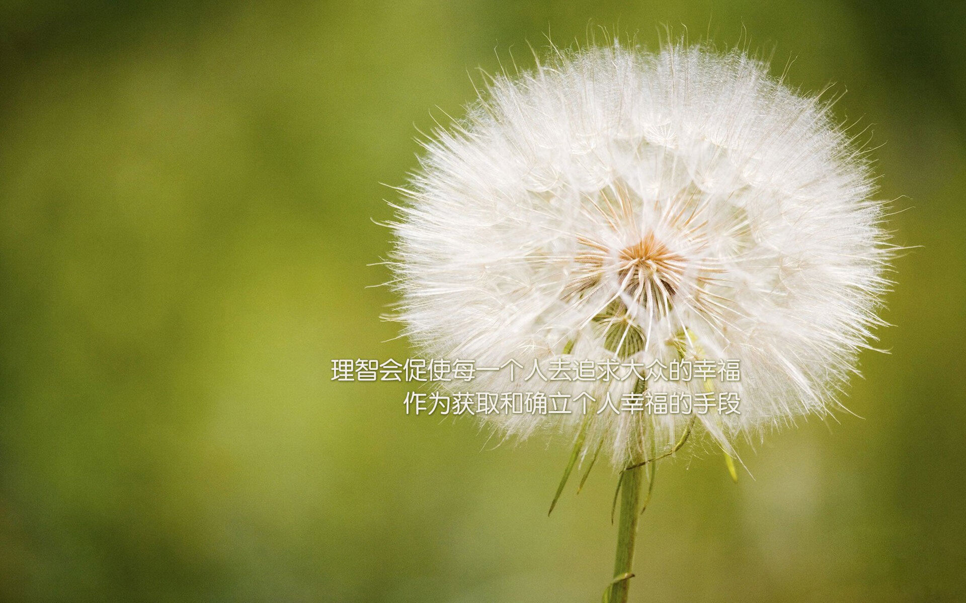 压倒性的团队，决定性的个人，牙买加用连续冲击波击垮韩国，富安健洋的闪光难挽败局