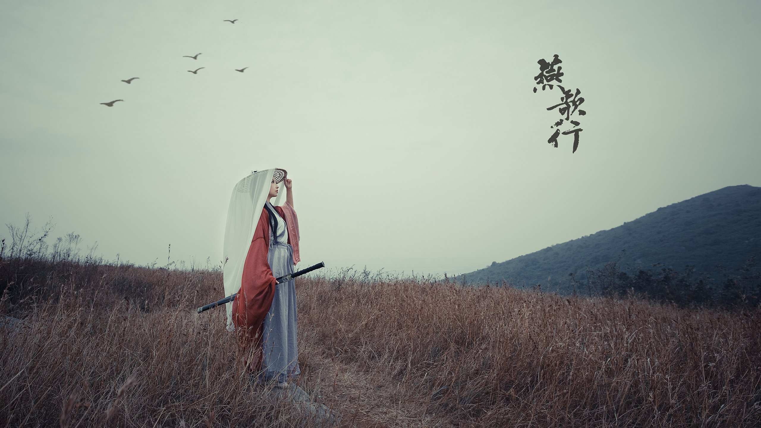 月下鹈鹕,蓝金行者,莫兰特时间