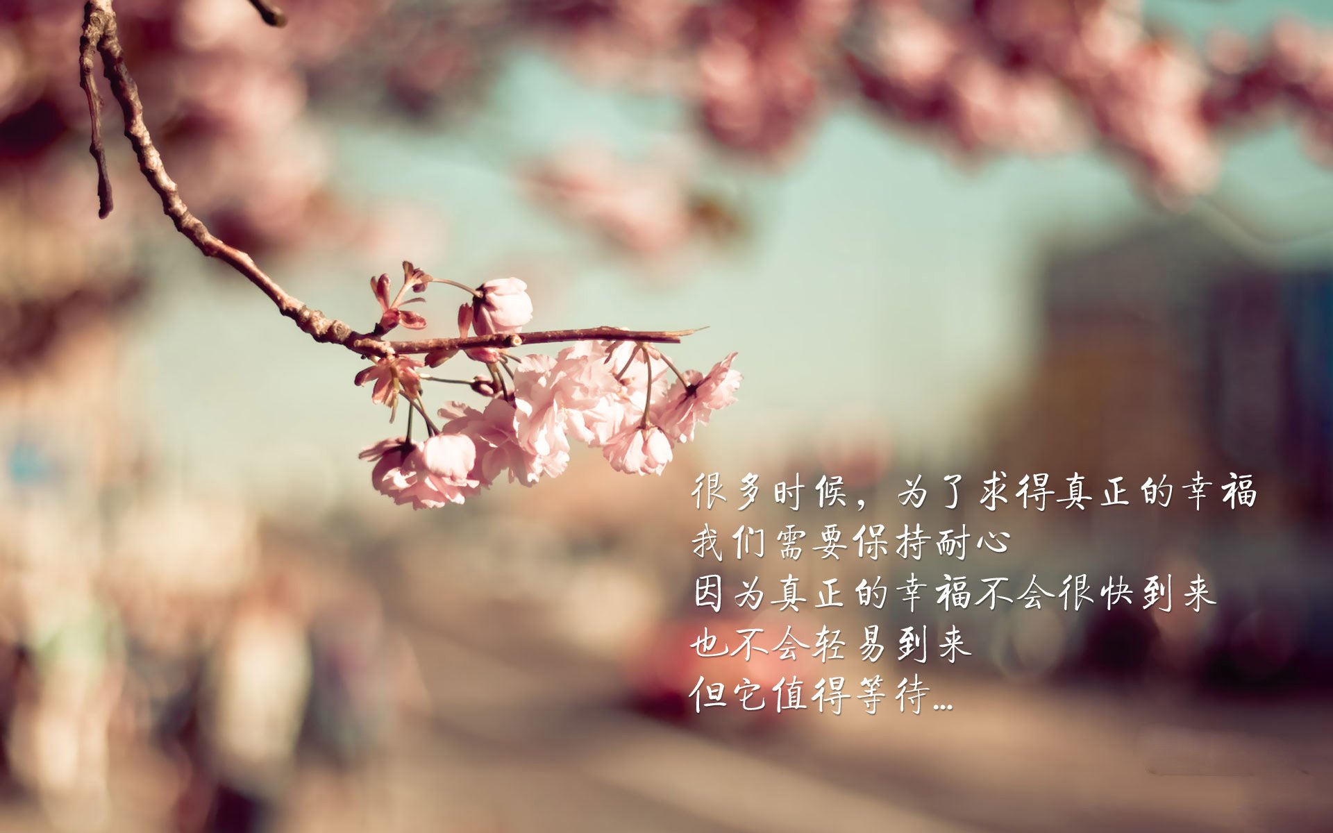 绝境破晓，当袋鼠军团咬碎斗牛士，凯恩一剑封喉改写世界杯生死战 临场神调度铸就唯一剧本，压制与反压制中的战术美学）
