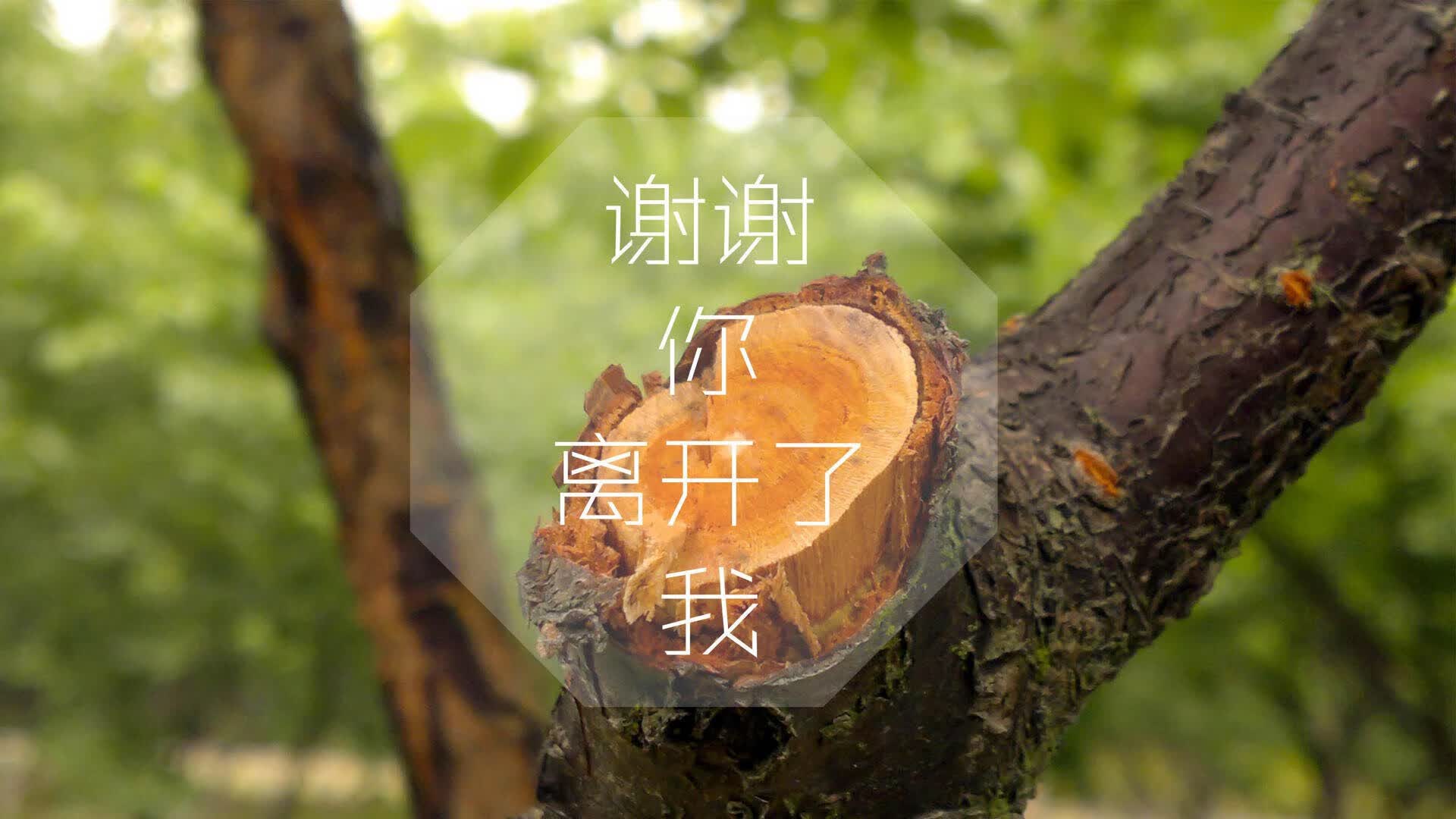 冰川与枫叶的终局,2026世界杯生死战,瑞士完胜加拿大,姆巴佩致命一击定格永恒